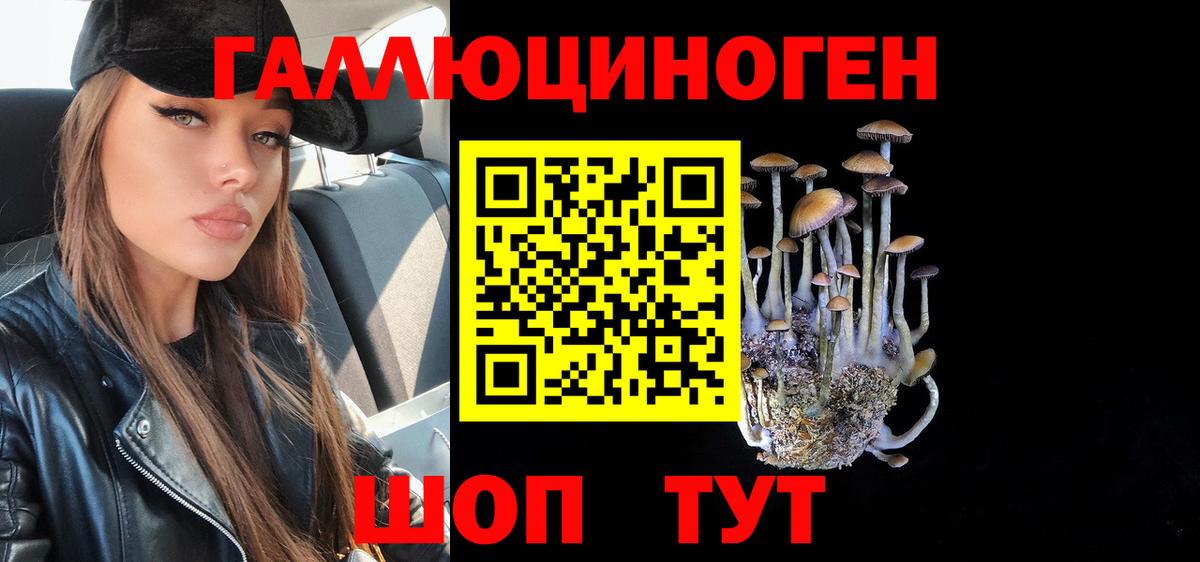 Псилоцибиновые грибы мухоморы  Псилоцибиновые грибы мицелий  Вход с VPN  Комсомольск-на-Амуре 